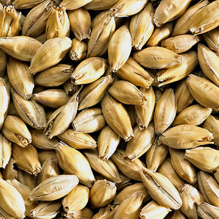SIMPSONS MALT Best Pale Ale Malt