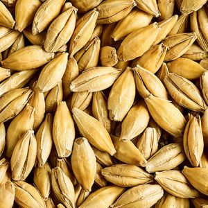 SIMPSONS MALT Dextrin