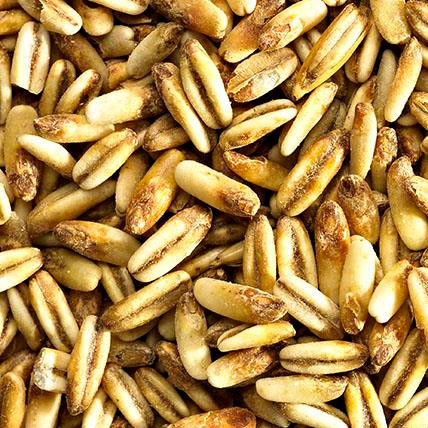 SIMPSONS MALT Golden Naked Oats