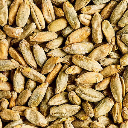 SIMPSONS MALT Malted Rye (centeno malteado)