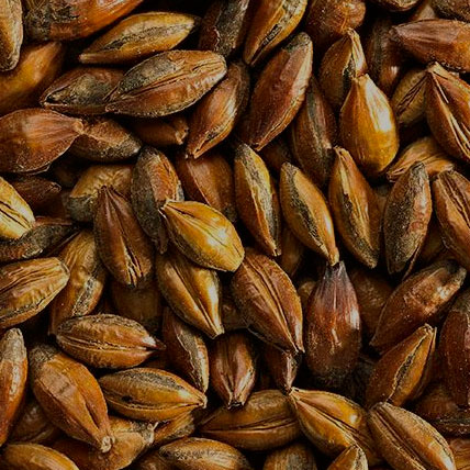 SIMPSONS MALT Roasted Barley